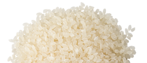 rice PNG-22397